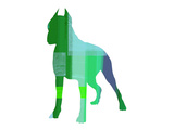 Boxer 1