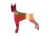 Doberman Pinscher