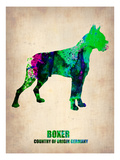 Boxer Poster Poster