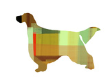 Gordon Setter