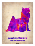 Yorkshire Terrier Poster