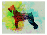 Giant Schnauzer Watercolor