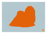 Maltese Orange