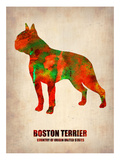 Boston Terrier Poster