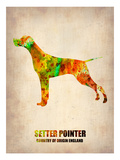 Setter Pointer Poster