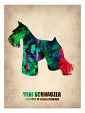 Miniature Schnauzer Poster