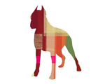 Boxer 2