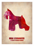 Miniature Schnauzer Poster