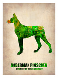 Doberman Pinscher Poster