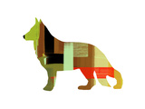 German Shepard 2