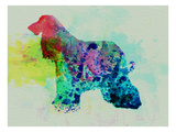 Afghan Hound Watercolor