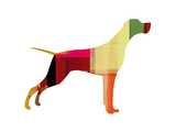 Setter Pointer