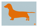 Dachshund Orange
