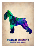 Standard Schnauzer Poster