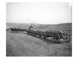 Horses Pulling Wheat Wagons  1915