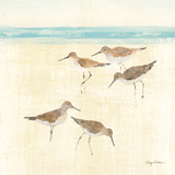 Sand Pipers Square II