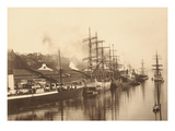 Harbor Scene Tacoma  Washington (1901)
