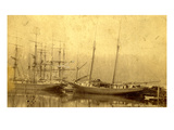 State of Washington Views: Schooner Vine (ca 1890)