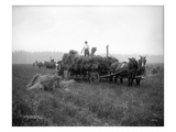 AL Brown Farm  Sherlock  Washington (ca 1909)