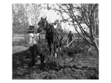 Plowing Team at Work  Grandview  WA  1918