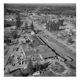 Lacey Plywood  N Olympia  Lacey (October 20  1958)