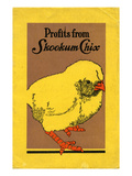 Profits from Skookum Chix Hatcheries (ca 1929)