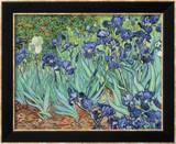 Irises  1889