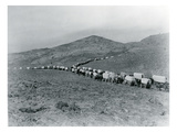 Wagon Train - Oregon Trail Wagon Train Reenactment  1935