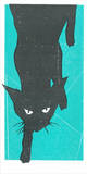 Black Kat