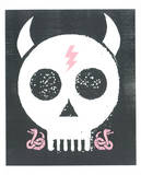 Punk Skull