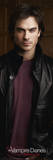 Vampire Diaries - damon salvatore