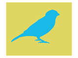 Blue Bird