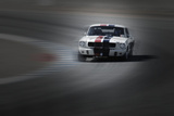 Mustang on the racing Circuit