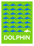 Dolphin Poster