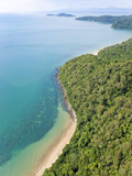 Rain Forest and Beach  Daintree Forest  Daintree National Park  nr Cairns  Queensland  Australia