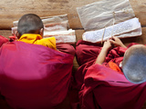 Young Monks Studying  Chimi Lhakhang Monastery  Pana  Bhutan