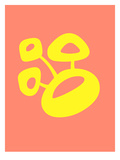 Funny Shape Blum 3
