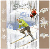 Saison de Ski