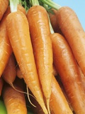 Fresh Carrots