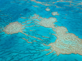 Great Barrier Reef  Queensland  Australia