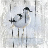 1 Oiseau