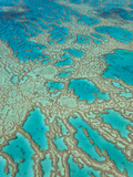 Great Barrier Reef  Queensland  Australia