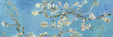 Almond Branches in Bloom  San Remy  c1890