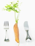 Knife and Fork and Half a Carrot