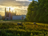 UK  England  Cambridge  the Backs and King's College Chapel