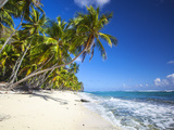 Dominican Republic  Samana Peninsula  Las Galleras  Playa Fronton