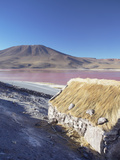Laguna Colorada on the Altiplano  Potosi Department  Bolivia