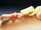Hot Dog with Ketchup and Gherkins