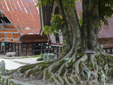 Indonesia  Sumatra  Samosir Island  Lake Toba  Ambarita  Siallagan Village  Ancient Traditional Bat