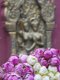 Flower Offerings at Wat Phnom  Phnom Penh  Cambodia